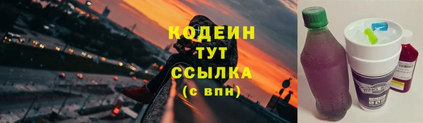 дмт Абаза