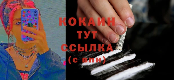 дмт Абаза