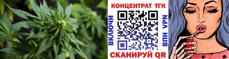 где купить наркотик  Мурино  Дистиллят ТГК THC oil 